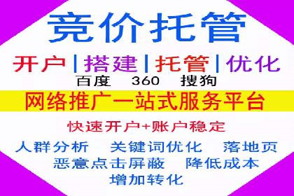 信息流广告的精准定位与效果优化案例分析